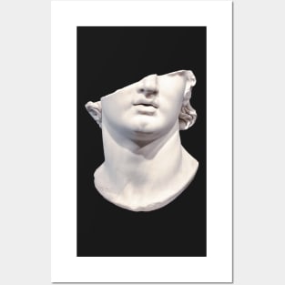 Broken Greek Bust- Fragmentary colossal head of a youth Posters and Art